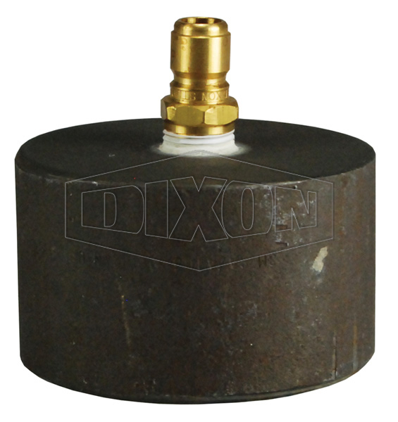 Female NPT Test Caps